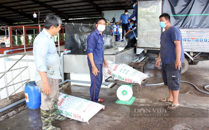 Nông dân bán mủ cao su cho Công ty cao su Bình Thuận. Ảnh: Trần Khánh