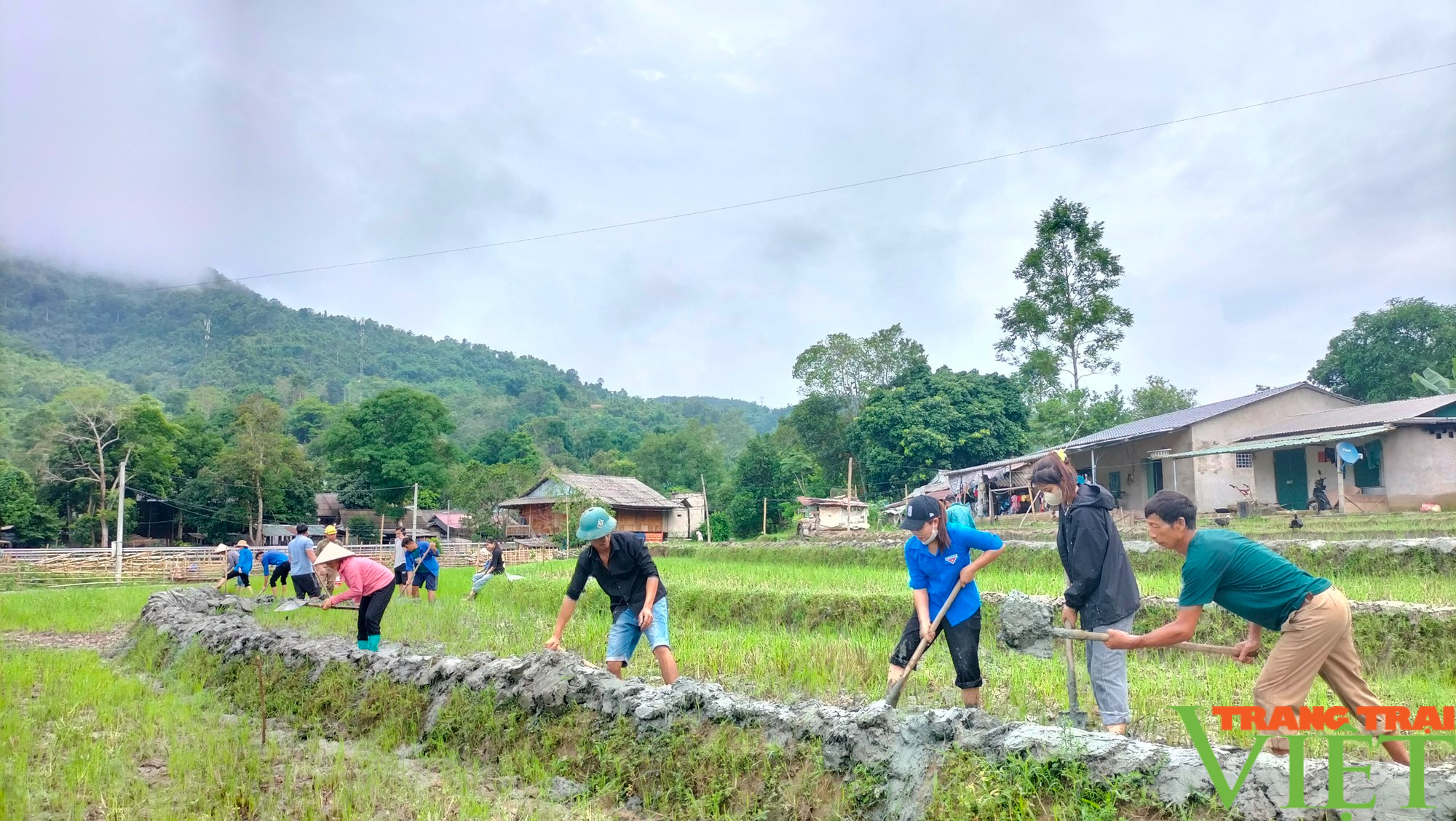 Đây là cách hội viên nông dân Lai Châu tăng giá trị kinh tế trên một đơn vị diện tích canh tác- Ảnh 1.