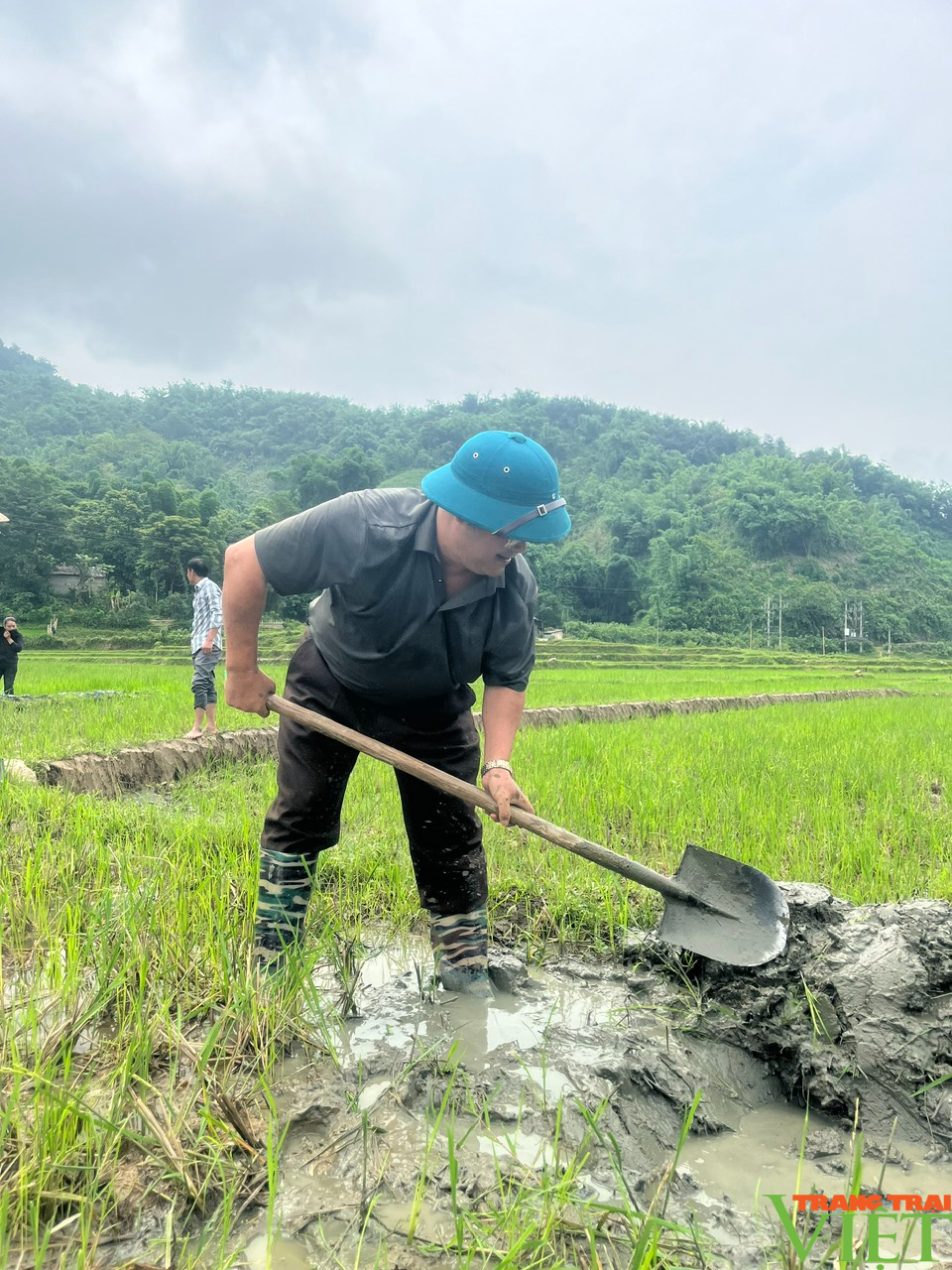 Đây là cách hội viên nông dân Lai Châu tăng giá trị kinh tế trên một đơn vị diện tích canh tác- Ảnh 2.