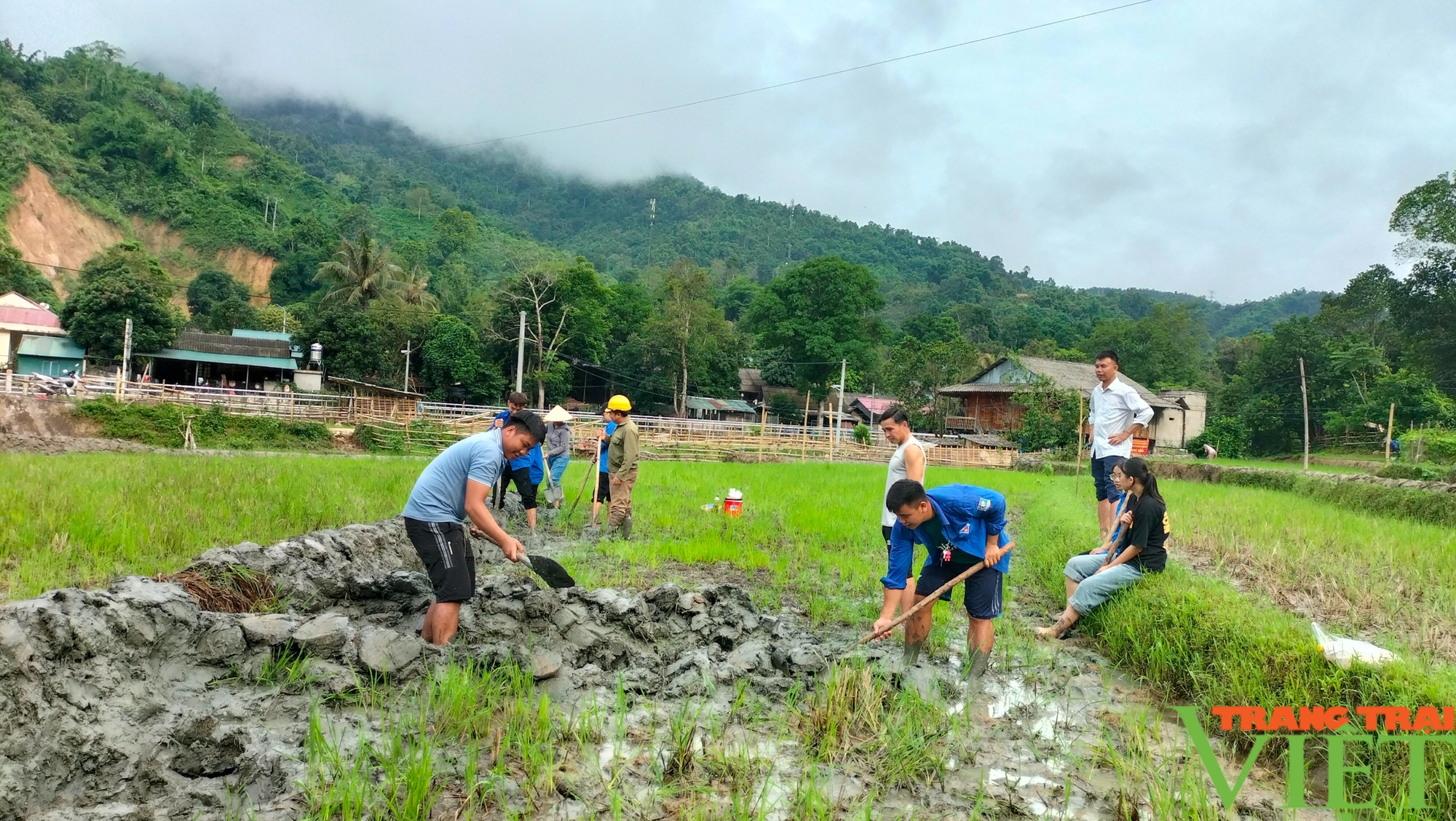 Đây là cách hội viên nông dân Lai Châu tăng giá trị kinh tế trên một đơn vị diện tích canh tác- Ảnh 3.