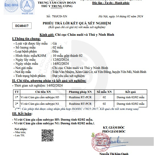 Ninh Bình: Tiêm vaccine đầy đủ, đàn gà vẫn nhiễm bệnh chết hàng loạt, nông dân mòn mỏi chờ hỗ trợ- Ảnh 1.