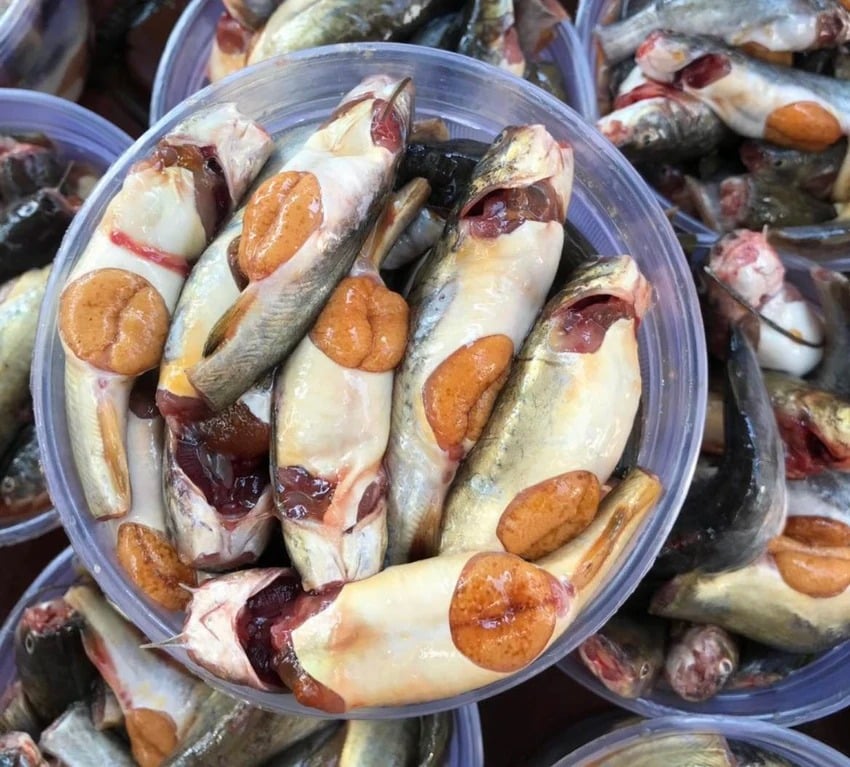 Cá chốt giàu Omega 3, nhiều axit béo khỏe, ở miền Tây còn nhiều, nhìn thôi đã thấy ngon lắm rồi- Ảnh 1.