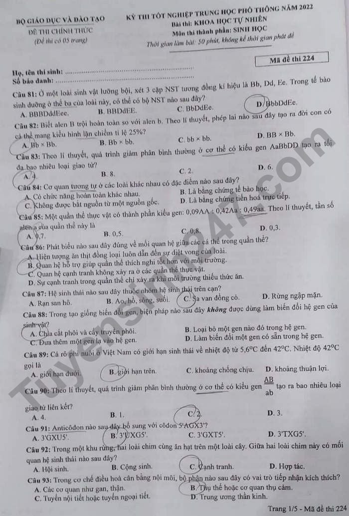 Đề thi môn Sinh học tốt nghiệp THPT 3 năm gần đây có đáp án tất cả mã đề- Ảnh 8.