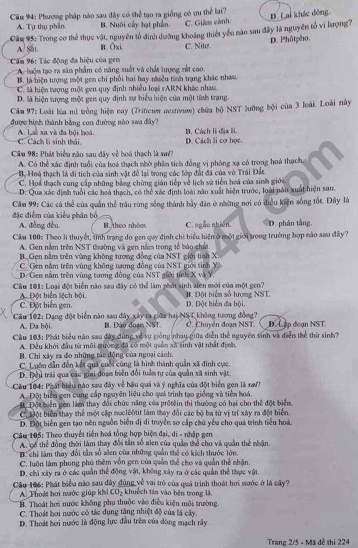 Đề thi môn Sinh học tốt nghiệp THPT 3 năm gần đây có đáp án tất cả mã đề- Ảnh 9.