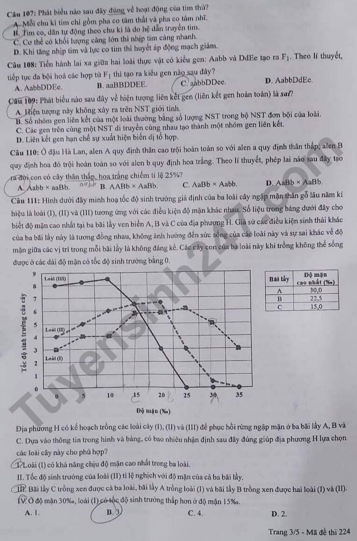 Đề thi môn Sinh học tốt nghiệp THPT 3 năm gần đây có đáp án tất cả mã đề- Ảnh 10.