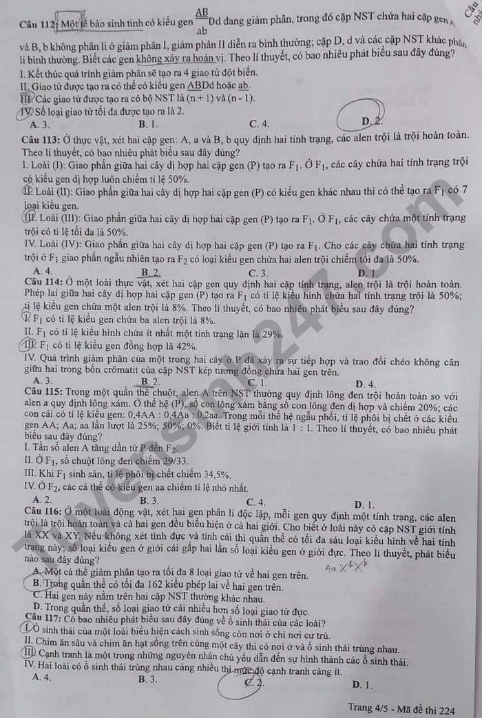 Đề thi môn Sinh học tốt nghiệp THPT 3 năm gần đây có đáp án tất cả mã đề- Ảnh 11.