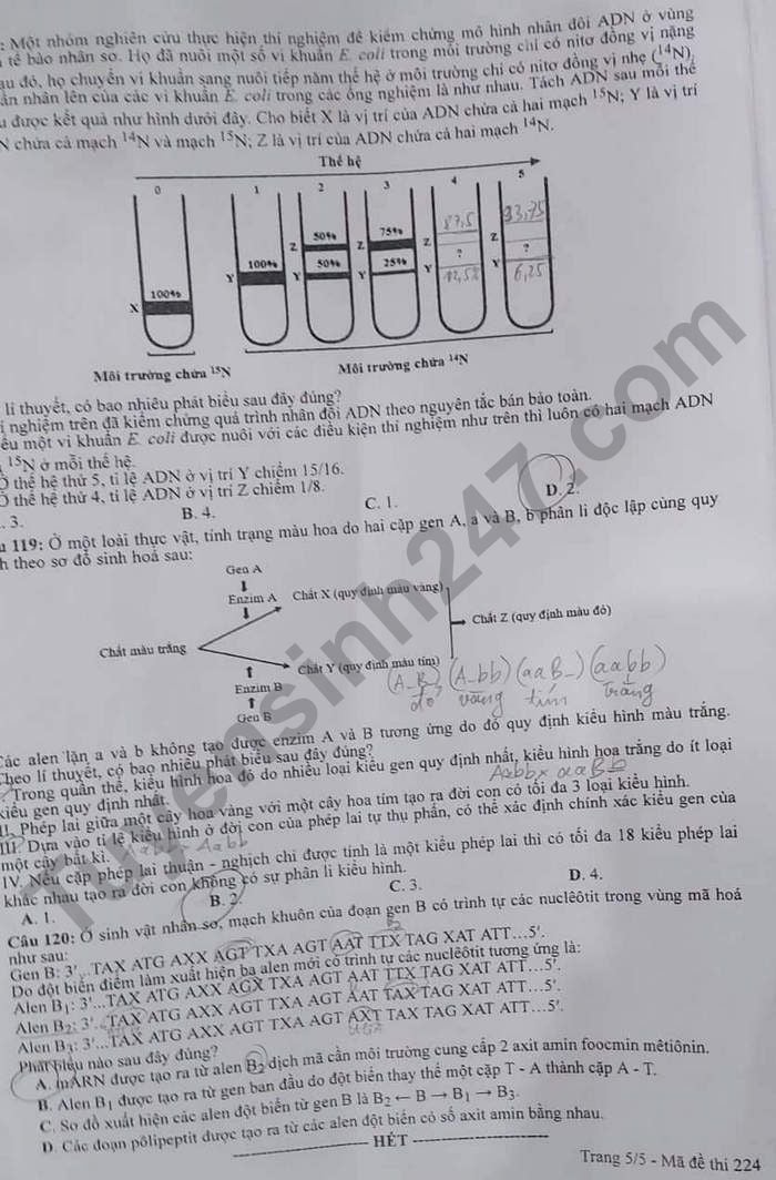 Đề thi môn Sinh học tốt nghiệp THPT 3 năm gần đây có đáp án tất cả mã đề- Ảnh 12.