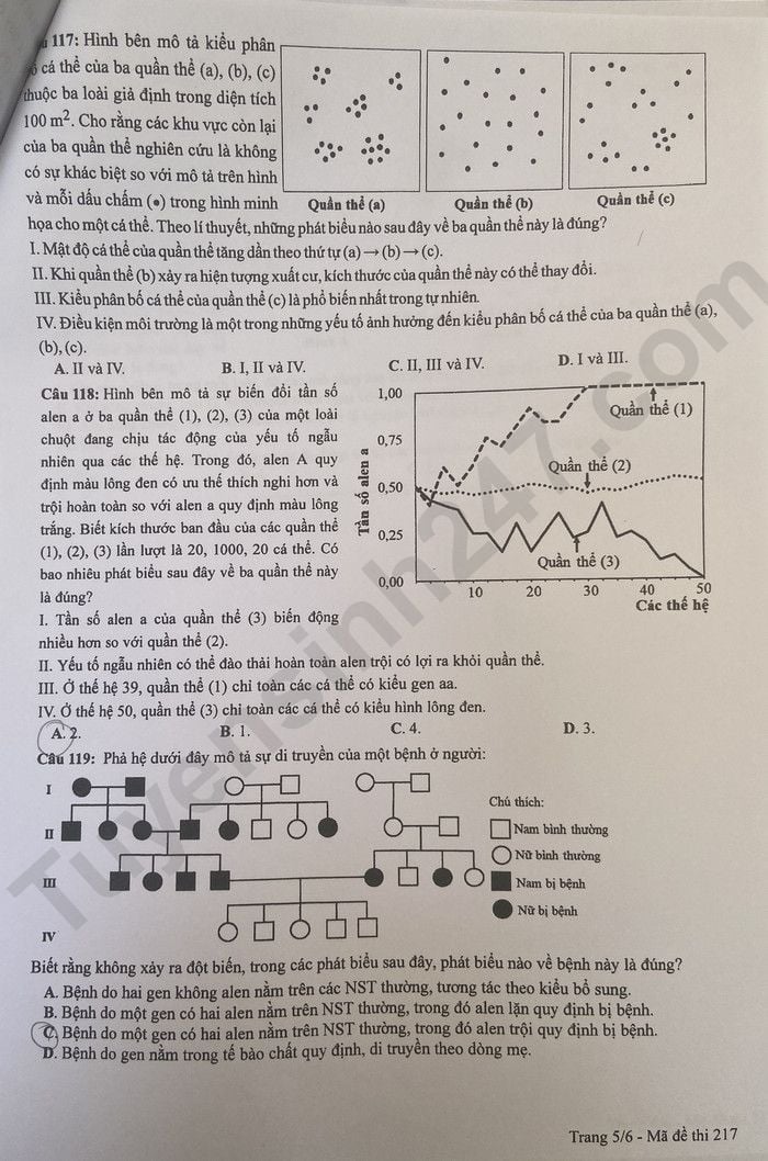 Đề thi môn Sinh học tốt nghiệp THPT 3 năm gần đây có đáp án tất cả mã đề- Ảnh 5.