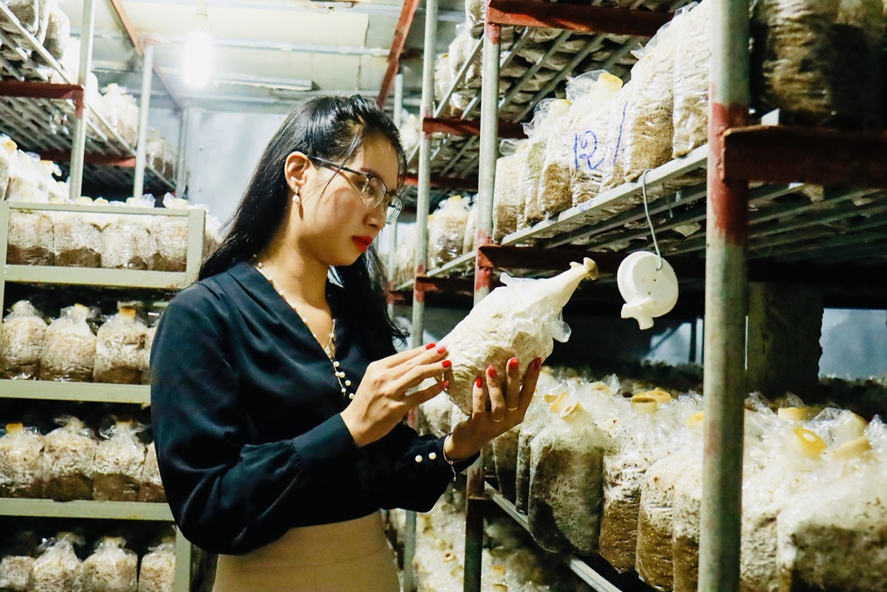 Bắc Giang: Đẩy mạnh chế biến chuyên sâu để nâng cao chất lượng sản phẩm OCOP- Ảnh 1.