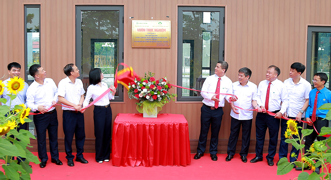 Ấn tượng vườn thực nghiệm "view triệu đô" của Supe Lâm Thao- Ảnh 1.