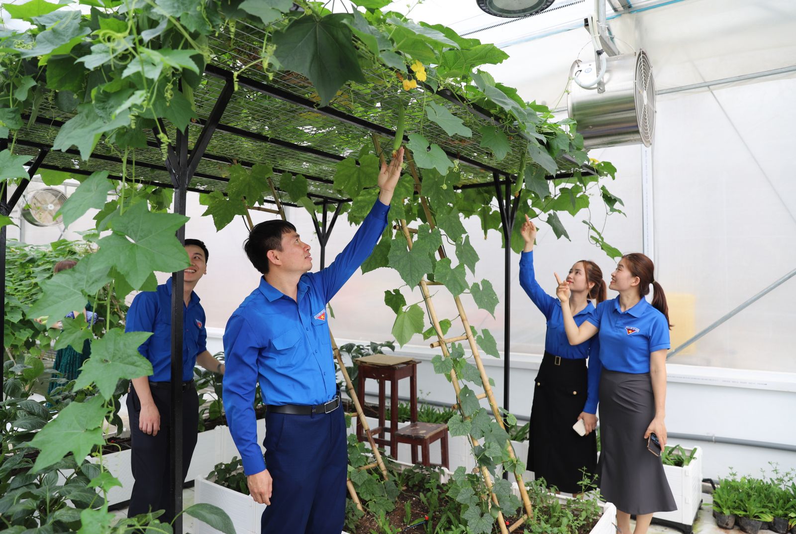 Ấn tượng vườn thực nghiệm "view triệu đô" của Supe Lâm Thao- Ảnh 4.