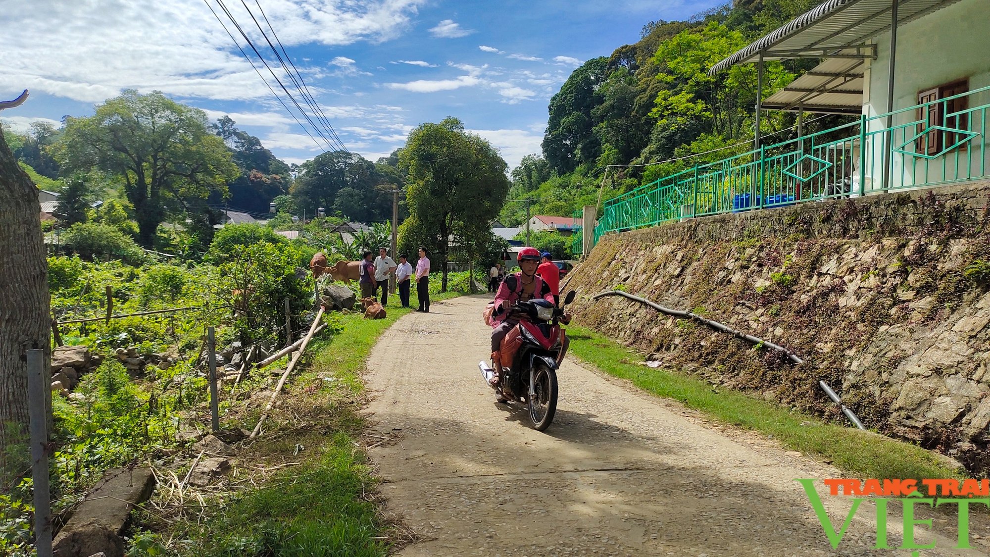 Pà Cò đổi thay nhờ xây dựng nông thôn mới- Ảnh 1. Pà Cò đổi thay nhờ xây dựng nông thôn mới- Ảnh 1.