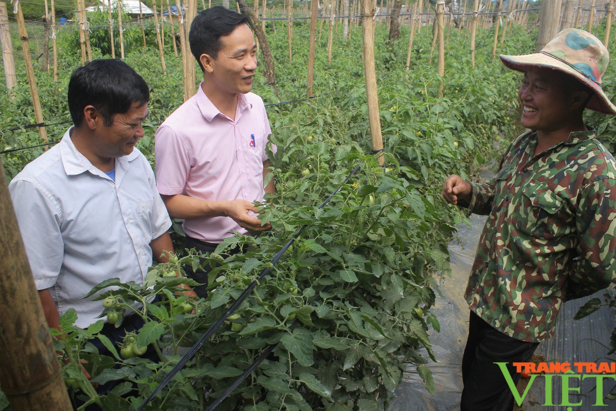 Pà Cò đổi thay nhờ xây dựng nông thôn mới- Ảnh 2. Pà Cò đổi thay nhờ xây dựng nông thôn mới- Ảnh 2.