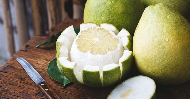 Vị thuốc quý cho sức khỏe ngay từ loại quả quen thuộc, ngăn ngừa cả ung thư- Ảnh 1. Vị thuốc quý cho sức khỏe ngay từ loại quả quen thuộc, ngăn ngừa cả ung thư- Ảnh 1.