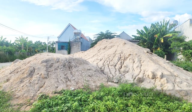TX.Đức Phổ chỉ đạo kiểm tra khẩn những bãi cát trữ nằm nhầm vị trí trong khu dân cư- Ảnh 5. TX.Đức Phổ chỉ đạo kiểm tra khẩn những bãi cát trữ nằm nhầm vị trí trong khu dân cư- Ảnh 5.
