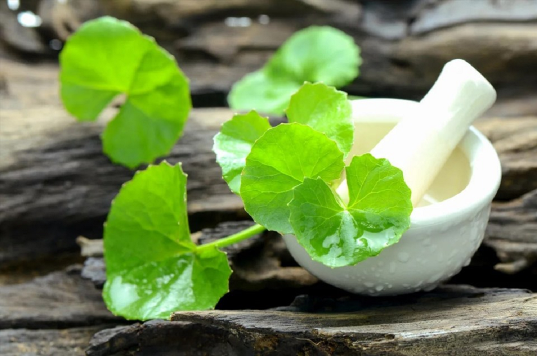 Ăn 1 mớ rau này tốt ngang thịt, xưa gọi "rau nhà nghèo" nay lên tầm "nhân sâm" vạn người thích- Ảnh 1. Ăn 1 mớ rau này tốt ngang thịt, xưa gọi "rau nhà nghèo" nay lên tầm "nhân sâm" vạn người thích- Ảnh 1.