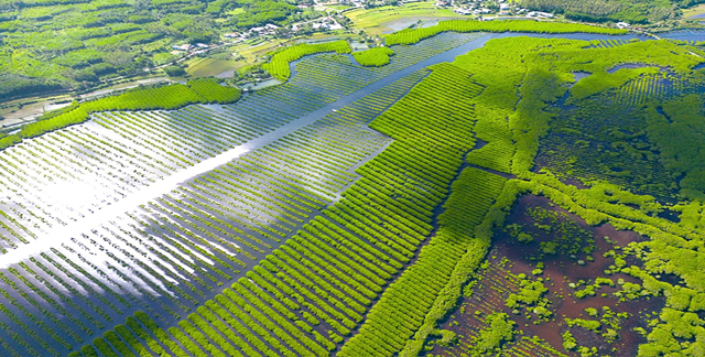 Quảng Ngãi 9 doanh nghiệp, tổ chức bắt tay lập Liên minh chuỗi giá trị du lịch cộng đồng- Ảnh 3. Quảng Ngãi 9 doanh nghiệp, tổ chức bắt tay lập Liên minh chuỗi giá trị du lịch cộng đồng- Ảnh 3.