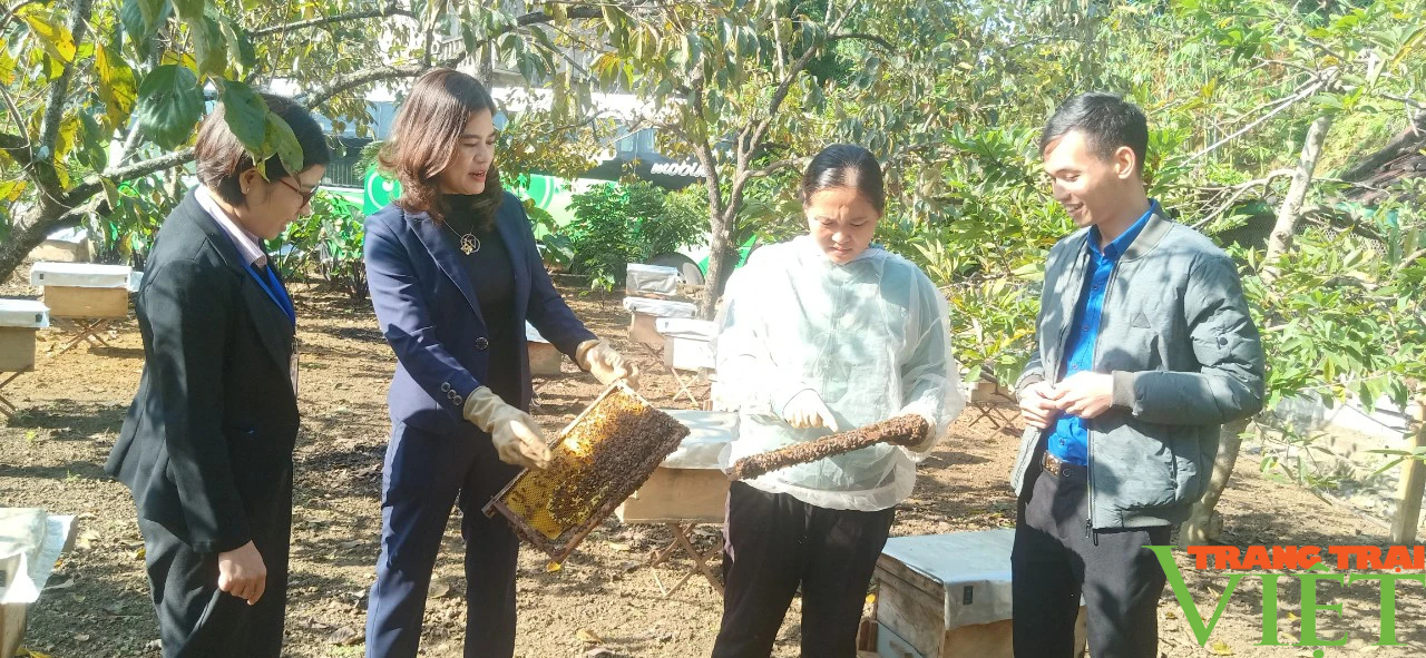 OCOP của nông dân Lào Cai không ngừng vươn xa- Ảnh 2. OCOP của nông dân Lào Cai không ngừng vươn xa- Ảnh 2.