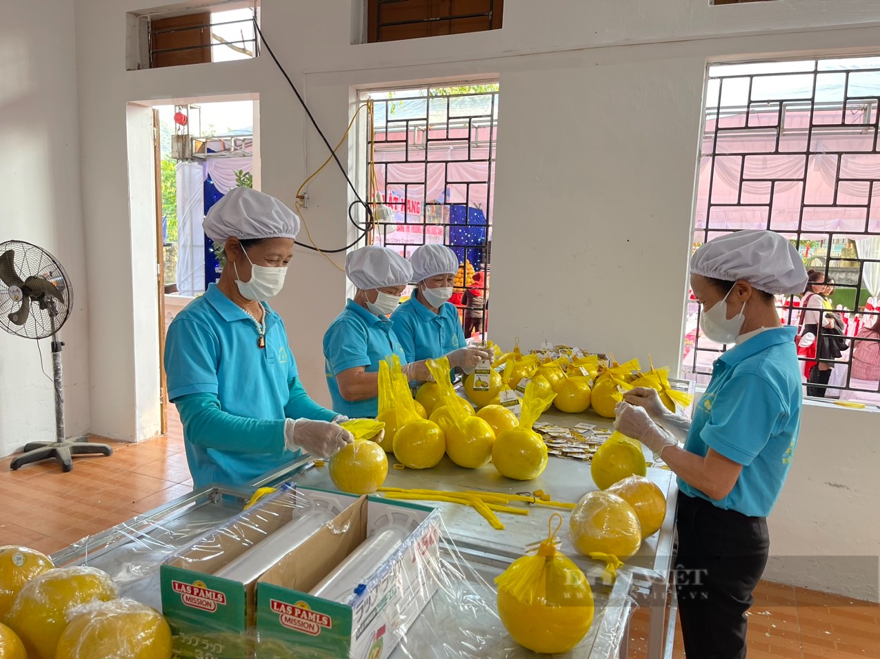 Có "hộ chiếu", từ đầu năm đến nay 725 tấn nông sản của tỉnh Hòa Bình đã được bán đi khắp thế giới - Ảnh 1.