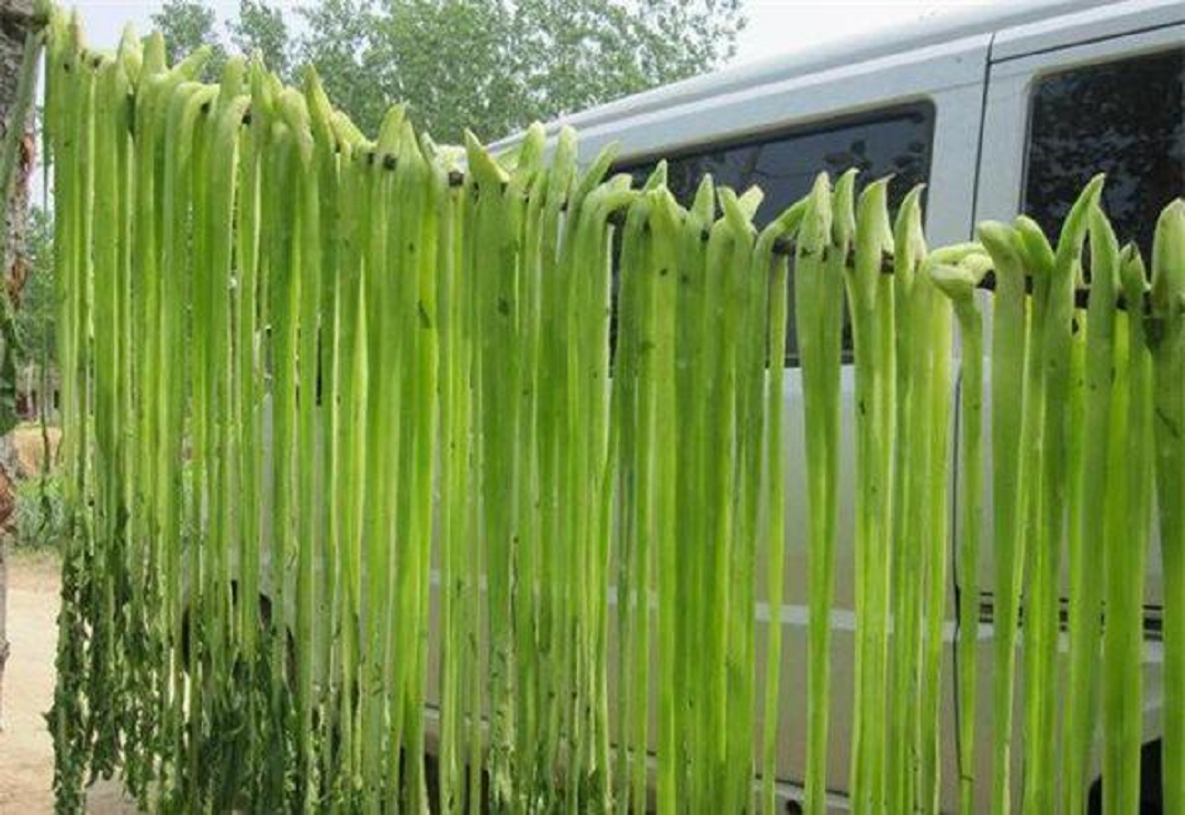 Rau hình dáng trông như nắm cỏ, giá đắt đỏ gần 500.000 đồng/kg mà các bà nội trợ vẫn lùng mua- Ảnh 1. Rau hình dáng trông như nắm cỏ, giá đắt đỏ gần 500.000 đồng/kg mà các bà nội trợ vẫn lùng mua- Ảnh 1.