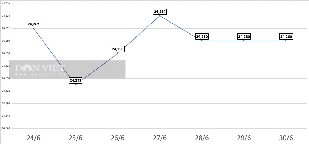 Giá USD hôm nay 30/6: Thị trường tự do "hạ nhiệt", giảm xuống dưới 26.000 VND/USD- Ảnh 2.