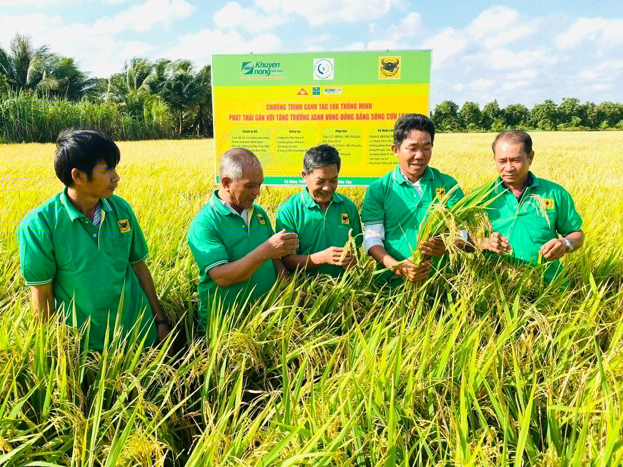 Triển khai Quyết định 182 về Đề án Hội Nông dân Việt Nam tham gia phát triển KTTT, khi các địa phương vào cuộc- Ảnh 3.
