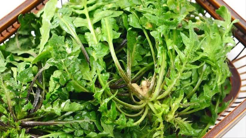 Loại rau mùa hè cực tốt cho gan, người trung niên, người cao tuổi nên ăn- Ảnh 9. Loại rau mùa hè cực tốt cho gan, người trung niên, người cao tuổi nên ăn- Ảnh 9.