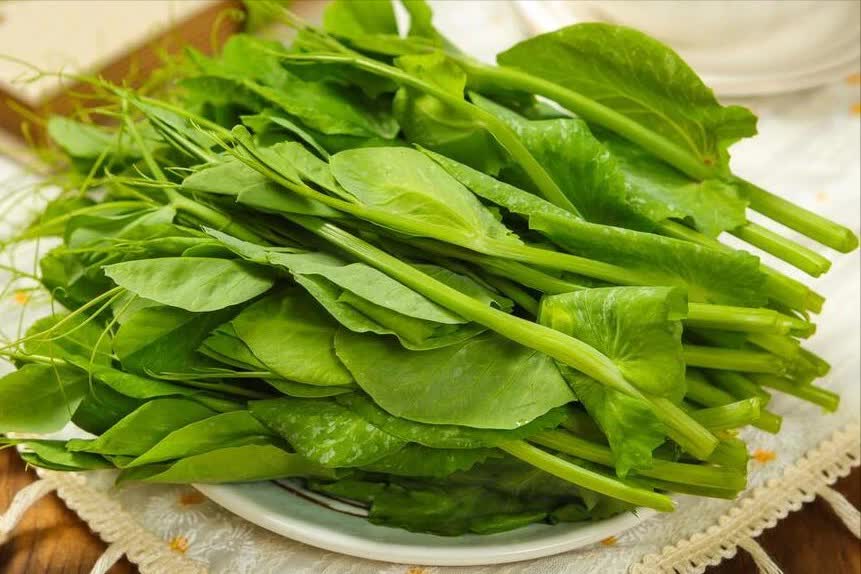 Loại rau mùa hè cực tốt cho gan, người trung niên, người cao tuổi nên ăn- Ảnh 2. Loại rau mùa hè cực tốt cho gan, người trung niên, người cao tuổi nên ăn- Ảnh 2.