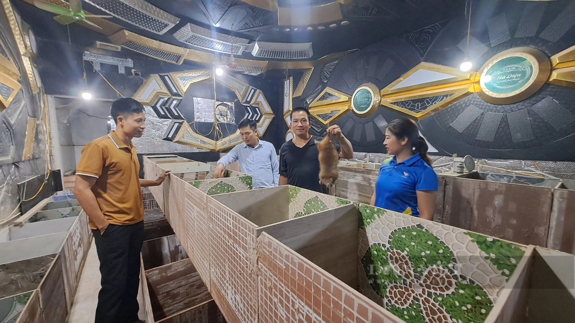 Thái Nguyên: Nuôi dúi, nuôi cá chép giòn, 20 hộ được vay nguồn vốn Quỹ Hỗ trợ nông dân- Ảnh 1.
