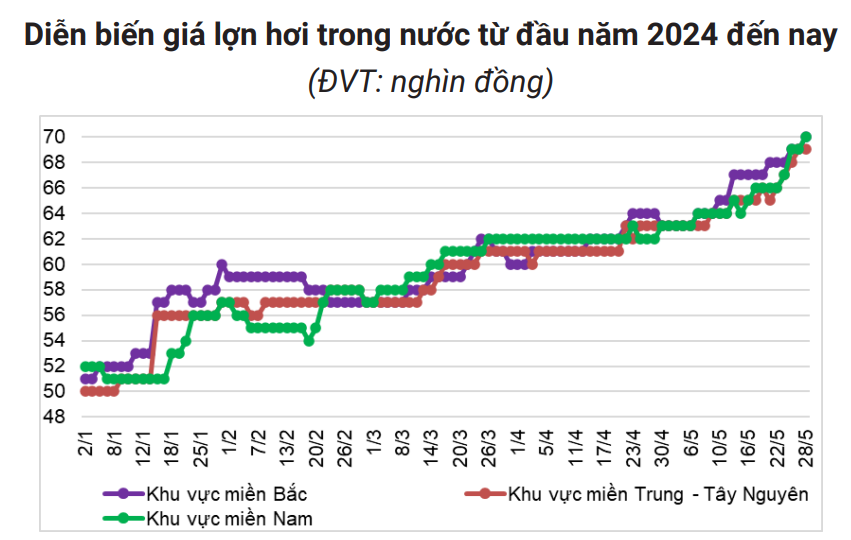 Giá lợn hơi tăng trở lại ở miền Bắc- Ảnh 3.