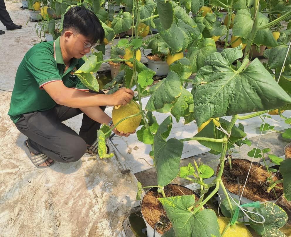 TP.HCM: Thành viên 19 HTX bỏ đi khỏi địa phương, không thể làm thủ tục giải thể- Ảnh 1.