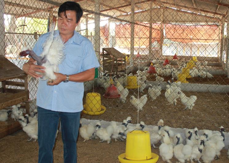 Một giống gà quý có cái cổ chả mọc lông, da đen nhẻm, ngành chức năng Đồng Nai tìm cách bảo tồn- Ảnh 1.