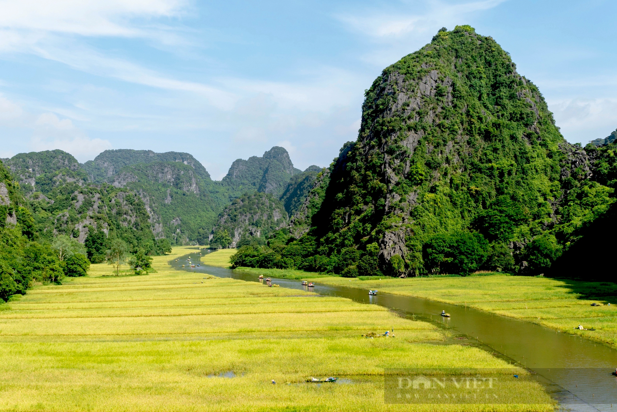 Mùa vàng sóng sánh như mật ong ở Tam Cốc- Ảnh 1.