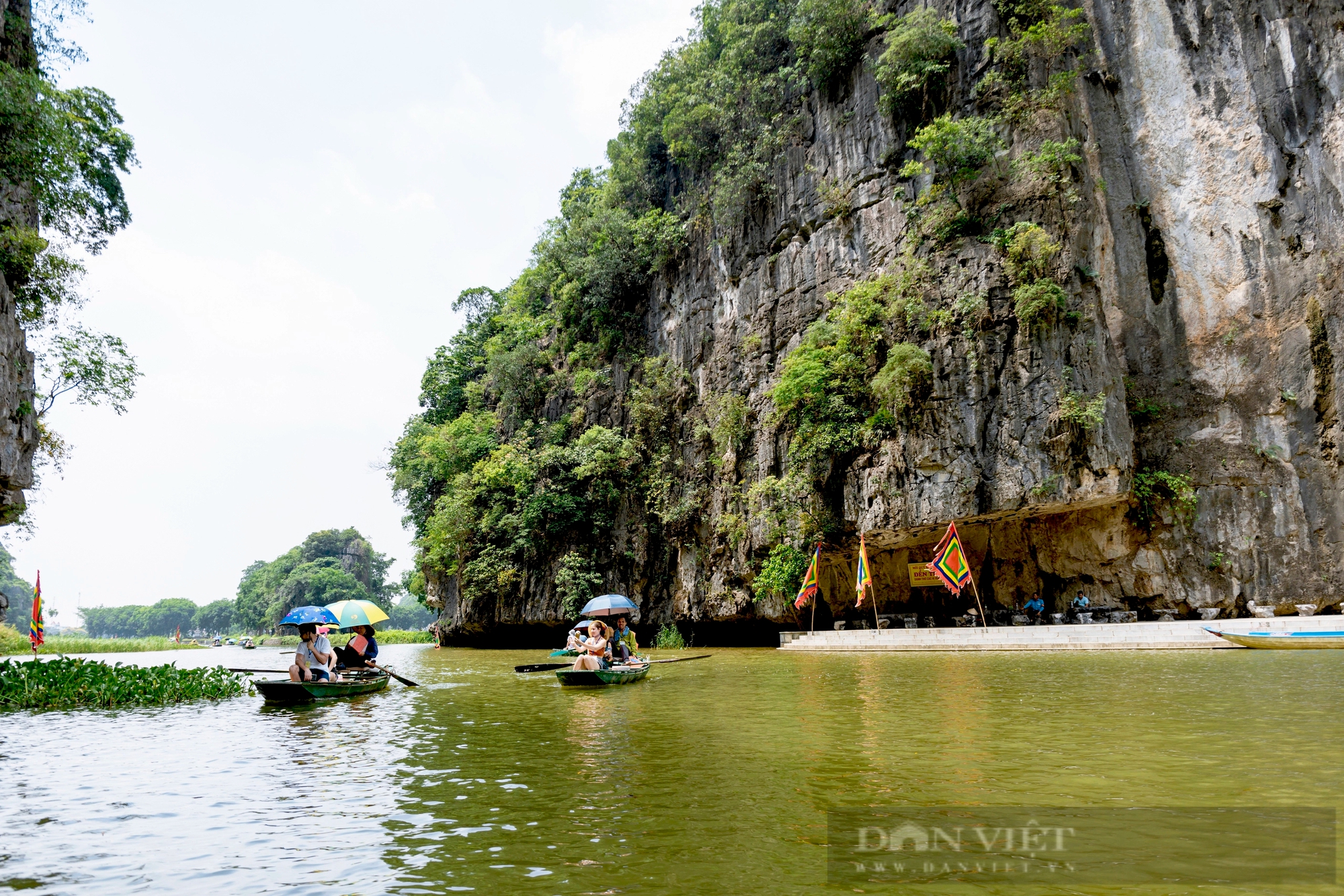Mùa vàng sóng sánh như mật ong ở Tam Cốc- Ảnh 7.