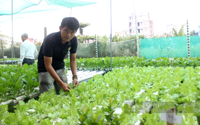 Nông dân ứng dụng công nghệ cao để trồng rau giữa lòng đô thị tại quận Tân Phú (TP.HCM). Ảnh: Nguyên Vỹ