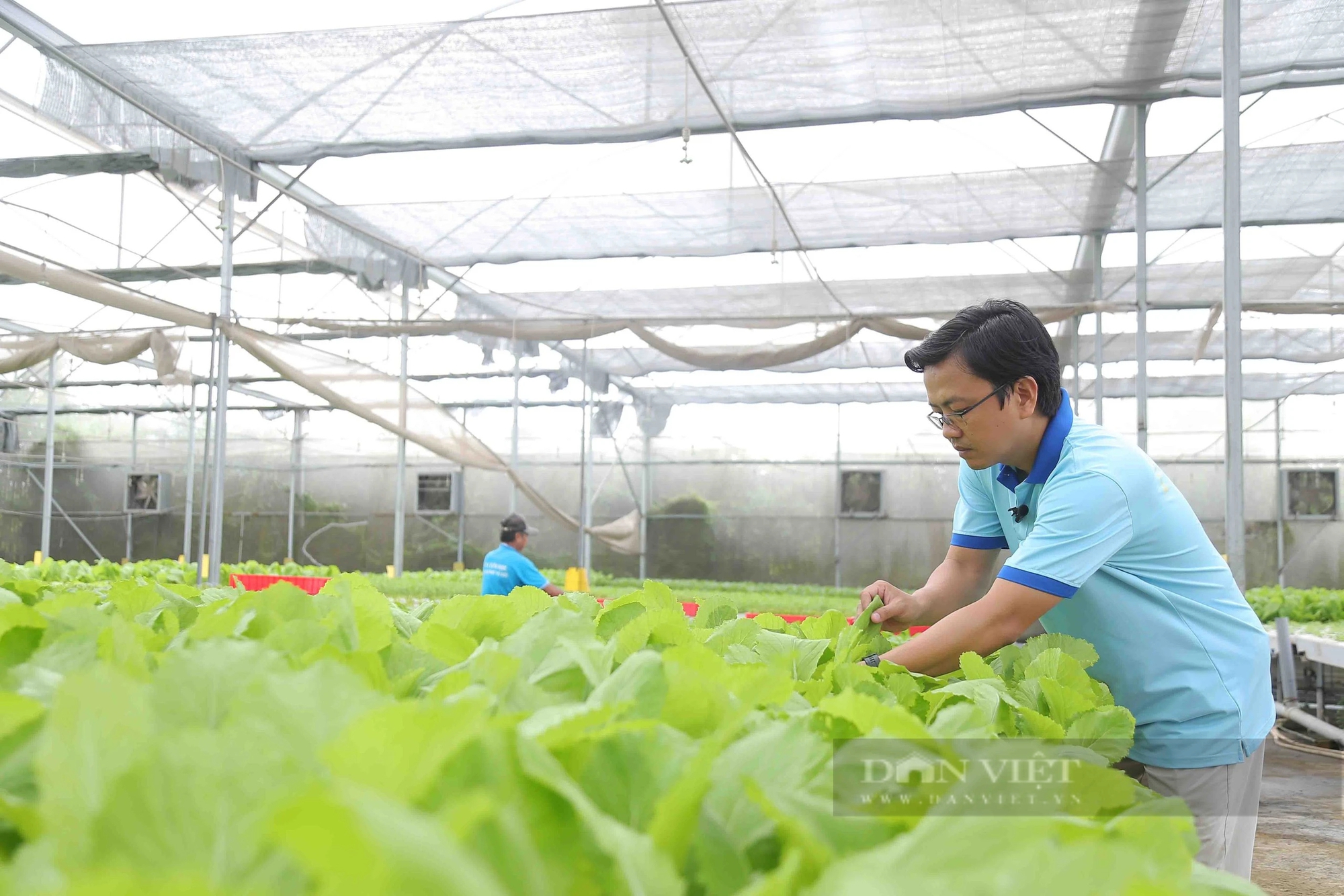 Xuất hiện những “cỗ máy” tạo động lực thúc đẩy phát triển kinh tế tập thể ở TP.HCM- Ảnh 3.