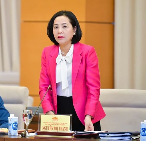 Nữ Trưởng Ban Công tác đại biểu được bầu giữ chức Phó Chủ tịch Quốc hội- Ảnh 1.