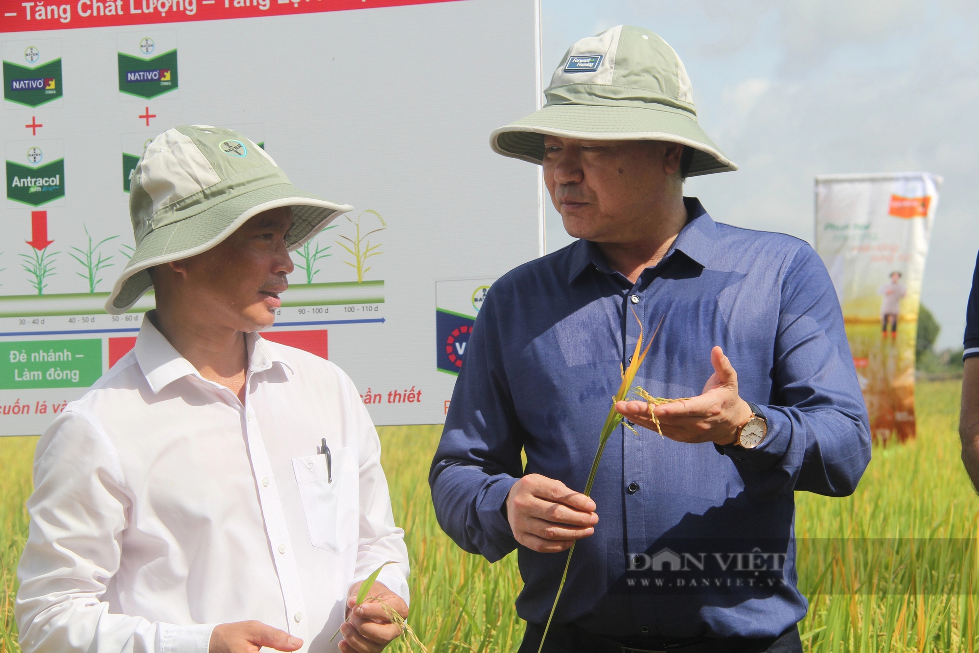 Cận cảnh mô hình trồng lúa giảm phát thải, giúp nông dân "kiếm thêm" lợi nhuận tới 5,9 triệu đồng/ha- Ảnh 4.