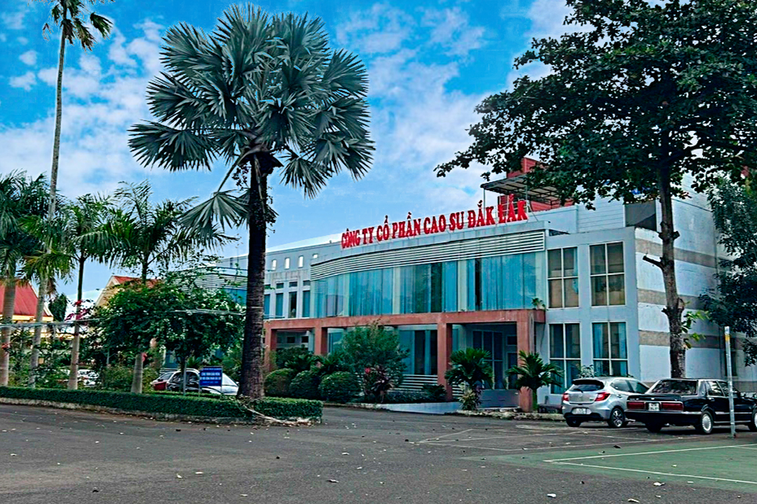 Bắt giam con trai nguyên Tổng Giám đốc Công ty Cao su Đắk Lắk về tội tham ô tài sản và rửa tiền- Ảnh 1.
