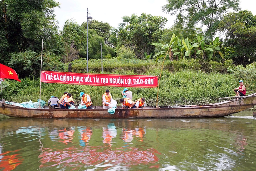 330.000 con cá rô đồng, cá diếc, cá chép, cá trê vừa được thả xuống một dòng sông nổi tiếng ở TT-Huế- Ảnh 1.