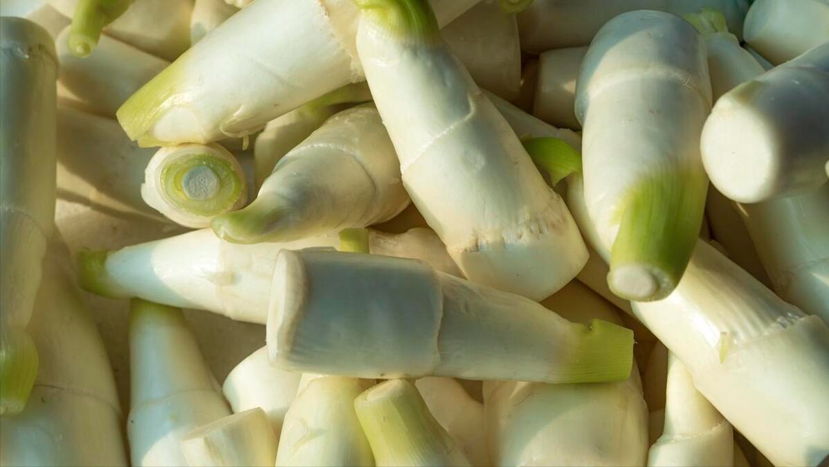 4 loại rau 