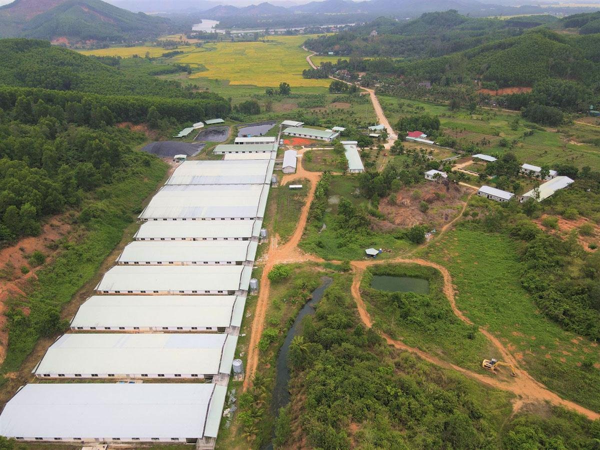 Một doanh nghiệp Việt Nam lọt Top 40 công ty chăn nuôi lợn lớn nhất thế giới năm 2024- Ảnh 4.