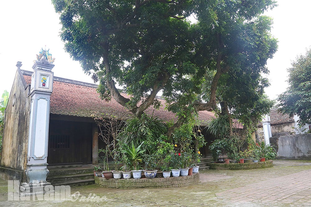 Tổ ngoại của Tam Nguyên Yên Đổ Nguyễn Khuyến: Từng đỗ Đệ nhị giáp Tiến sĩ- Ảnh 1.