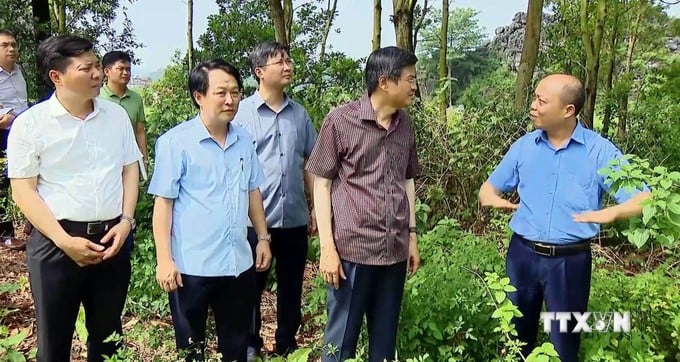 Đào khảo cổ ở một làng có núi đá của Ninh Bình phát lộ hiện vật cổ gì mà ngành chức năng đang bảo tồn?- Ảnh 5.