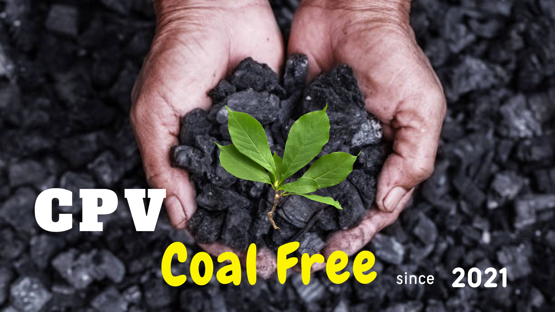 C.P. Việt Nam thực hành cam kết bền vững hướng đến mục tiêu Net Zero - Ảnh 2. C.P. Việt Nam thực hành cam kết bền vững hướng đến mục tiêu Net Zero - Ảnh 2.