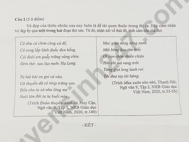  Đề thi môn Văn vào lớp 10 năm 2024 của Đồng Nai có gợi ý đáp án - Ảnh 2.
