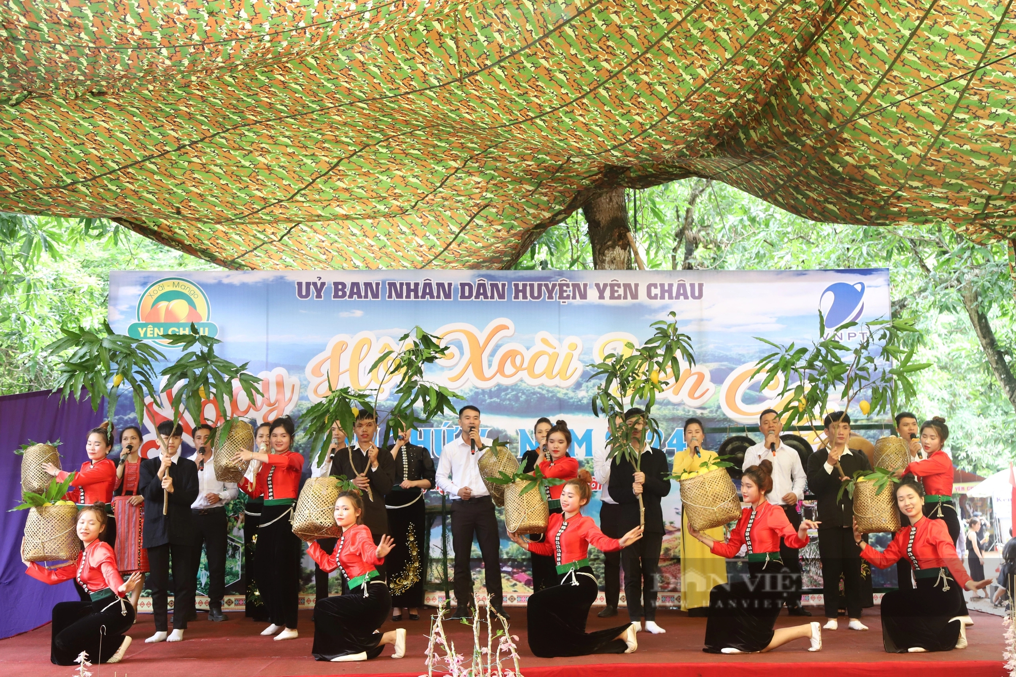 Vùng đất này ở Sơn La có tiếng chuối ngọt, xoài thơm, trai, gái dân tộc Thái rủ nhau lên đồi hái quả- Ảnh 1.