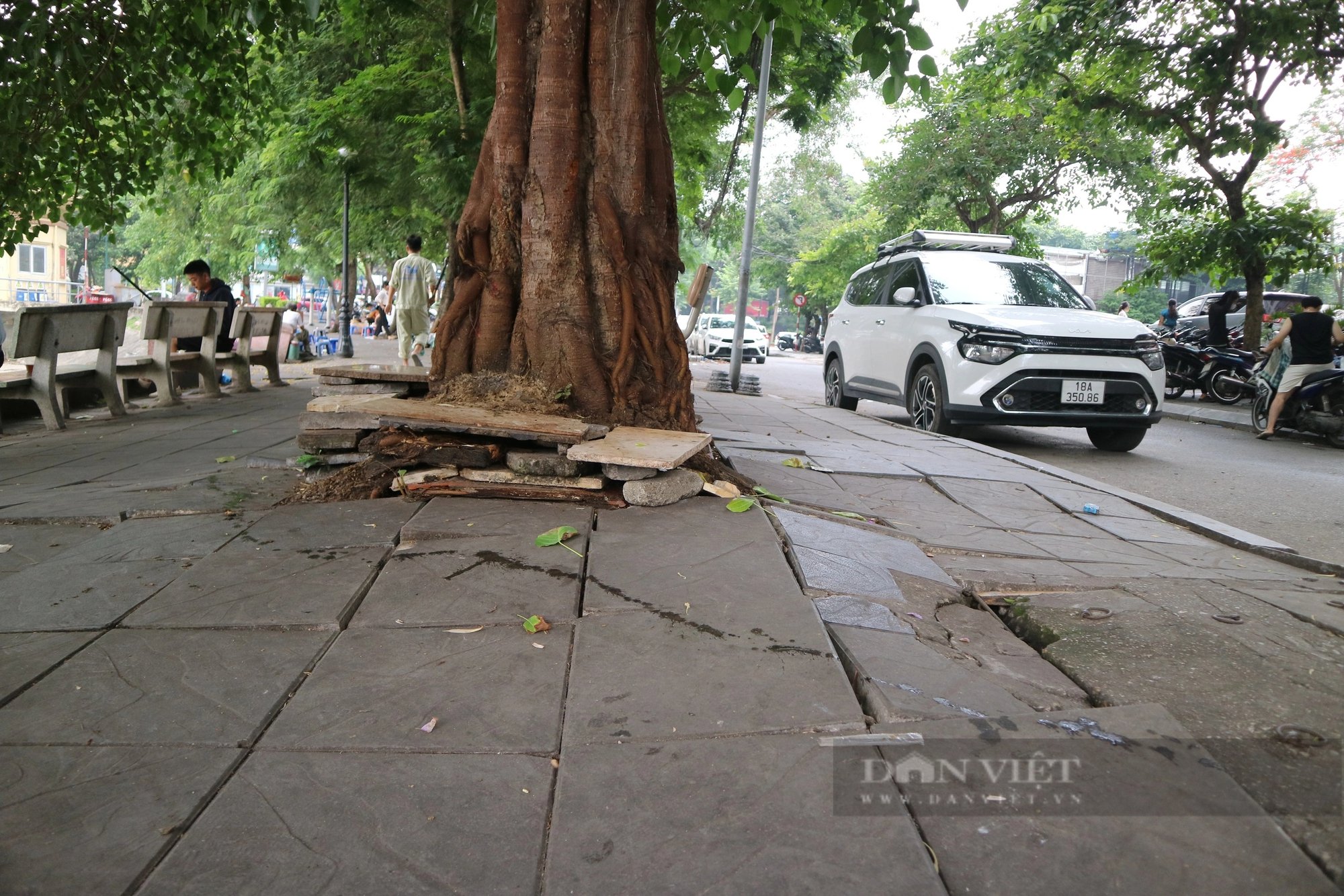 Hồ Ngọc Khánh trước khi được đầu tư 30 tỷ đồng để cải tạo- Ảnh 4.