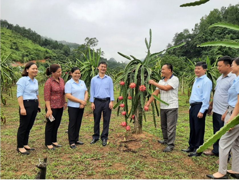Hội Nông dân tỉnh Cao Bằng đổi mới nội dung, phương thức vận động Quỹ Hỗ trợ nông dân - Ảnh 1.