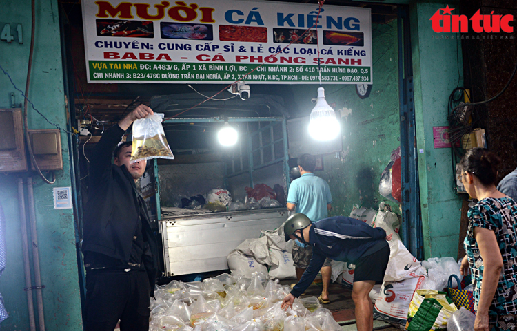Chợ có một không hai, khách soi đèn mua cá lúc 4 giờ sáng- Ảnh 13.